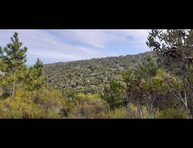 FARM FOR SALE IN HANSMOESKRAAL